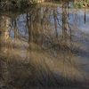 angievaz934